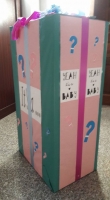 gender reveal box met ballonboeket