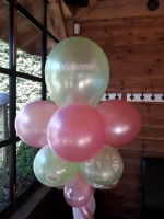 ballon pilaar munt roze met welkom