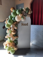 backdrop naud