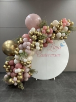 backdrop livia