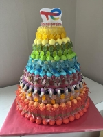 snoeptaart 7 verdiepingen regenboogkleuren