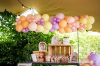 babyborrel lia